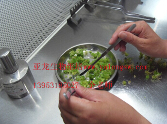 濟南亞龍生物科技有限公司 濟南亞龍生物科技有限公司